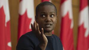 Annamie paul l'institut du nouveau monde est un organisme non partisan dont la mission est d'accroître la participation citoyenne à la vie démocratique. The New Green Party Leader S Biggest Gamble Yet Tvo Org