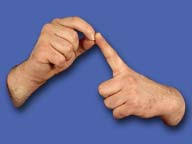 Can you name the american sign language (asl) alphabet? Signbank