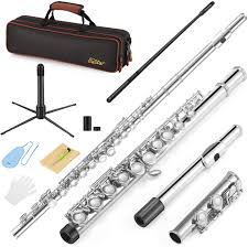 What are the best flute brands? Amazon Com Eastar C Flutes Closed Hole C Flute Musical Instrument With Cleaning Rod Carrying Case Stand Gloves And Tuning Rod 16 Key Student Flute Beginner Kids Flute Nickel Efl 1 Musical Instruments