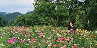 Maybe you would like to learn more about one of these? Asheville Nc Courtesy Of Zadie S Market And Carolina Flowers Wnc Magazine