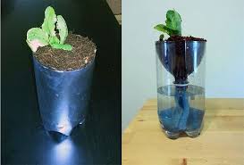 1$ homemade hydroponic system | cheapest hydroponic system #hydroponics you don't need a large garden to. Hydroponics For Kids Build A 2 Liter Bottle Garden Epic Gardening