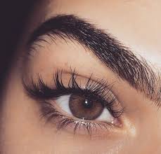 Pin By Gillian Videgar On Eyes Pretty Brown Eyes Aesthetic Eyes Eye Photography