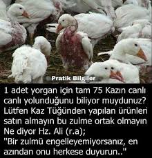 Mehmet Usta Adli Kullanicinin Cevre Panosundaki Pin Bilgi Bilgi Karti Gizli Bilgi