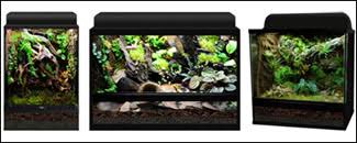 Maybe you would like to learn more about one of these? Vivarium Kits For 24x18x24 Terrarium Enclosures The Best 24x18x24 Bioactive Terrarium Kits Online Neherp Your One Stop Vivarium Shop