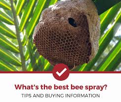 Top 4 Best Bee Killer Sprays To Buy Now 2021 Review Pest Strategies