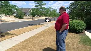 How to assess the status of your grass as landscapers, we take a lot of pride in how our grass looks. Experts Say Grass Is Likely Dormant Not Dead So Far Youtube
