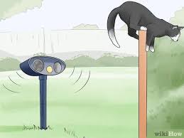 Cats can wreak havoc in gardens, both by eating and digging up plants and by using the soil as a litter box. 11 Ways To Keep Cats Out Of Your Yard Wikihow