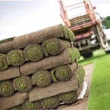 Bir bahçenin zevkli ve işini iyi bilen birisi tarafindan düzenlenmesinin ne kadar farklı olduğunu gördük. Rulo Cim Firmalari Cim Ya Da Cimen Denilince Ilk Akla By Yigit Cevre Medium