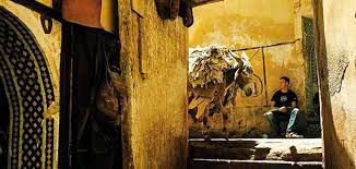 With numerous colorful markets, beautiful fortresses, mountains and several roman ruins sites, this country has something to offer for every visitor. Morocco S Extraordinary Donkeys Travel Smithsonian Magazine