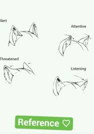 However, drawing the ear properly provides for completeness to your drawing as well as demonstrates a higher level of artistic knowledge and anime is an art form specifically animation that includes all genres found in cinema but it can be mistakenly classified as a genre. 29 Love My Feel Good Anime Wolf Drawing Reference