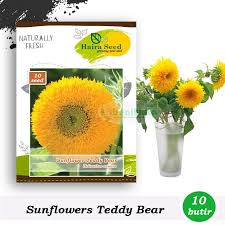 Jual beli bunga langsung dari petani dan supplier seluruh indonesia. Jual Biji Bunga Matahari Terbaru Lazada Co Id