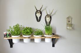 Wandregal Fur Krauter Rustikale Kuchendekoration Wall Rack For Herb Plants Made By Holzkopf Via Da Kuchendekoration Kuche Dekoration Rustikales Kuchen Dekor