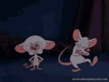 Pinky and the brain gif. Pinky And The Brain Gifs Tenor