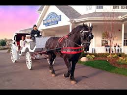 Was happy that coffee, tea and hot chocolate were available 24/7. Amish Country Shipshewana Indiana Youtube
