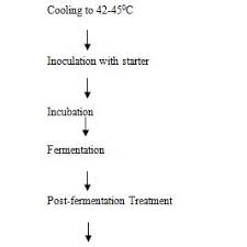 Process Flow Chart For Yoghurt Production Source 16 17