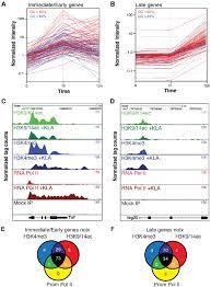 Immediate Early I E And Late Genes Exhibit Characteristics Of Download Scientific Diagram