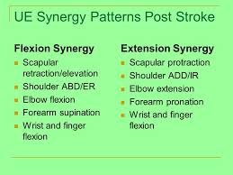 Abnormal Tone And Management Post Stroke Ppt Download Where a tremor is superimposed on the hypertonia, making the movement irregular due to intermittent increase and reduction after that, always by grabbing the patient's foot, passively flex and extend the knee. abnormal tone and management post