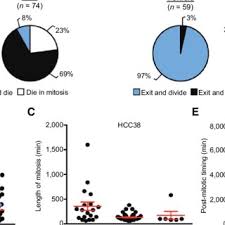 Bet Inhibitors Promote Mitosis Associated Death Or Prolonged