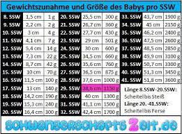 Entwicklung fötus im mutterleib (29. 29 Ssw Entwicklung Grosse Gewichtszunahme Beim Baby