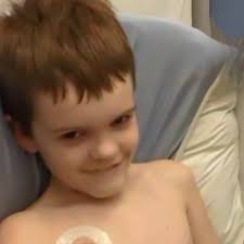 Fundraiser for Caitlin Copeland by Clayton Copeland : Dawson The Brave: A  fight against cancer!