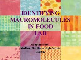 Biochemistry Tests For Food Macromolecules Carbohydrates Identifying Macromolecules In Food Macromolecules Biology Activities High School Macromolecules Biology