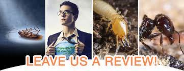 Read some of our pest control inc reviews to find out why people choose us for all their exterminator needs. Leave Us A Review Prohealth Pest Control 727 308 4129 Call Today