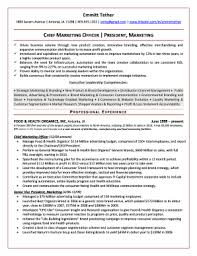 chief marketing officer resume fill