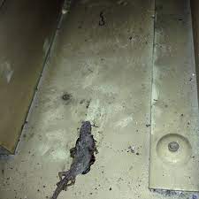 Rawang sk bandar tasik puteri sk desa amanpuri sk taman prima selayang sk bandar baru selayang (2) sk tasik puteri 2 sk merbau sempak sk bandar baru sungai buloh sk (1) gombak sk (2) gombak sk (1) kuala ampang sk (2). Sekolah Kebangsaan Taman Prima Selayang Selayang Batu Caves Selangor