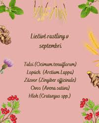 Liečivé rastliny v septembri? Aj počas neskorého leta a jesene bylinky  môžme zbierať. Počas prechodného obdobia jesene, keď je počasie často  nepredvídateľné, užívajme bylinky, ktoré telu prinesú podporu a výživu.  Pozrite si