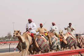 Deep in the heart of the united arab emirates, the ancient sport of camel racing is enjoying a resurgence. Interest On Traditional Sports Soaring In Uae