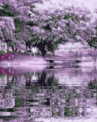 Can be seen panels with a hawk perched on a tree branch and a tiger in a forest, a shinshoku, a dog, people cleaning the floor, sakura trees and a small waterfall. Anime Cherry Blossom Tree Gifs Tenor