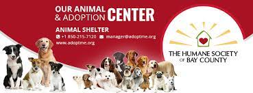 Maybe you would like to learn more about one of these? The Humane Society Of Bay County Home Facebook