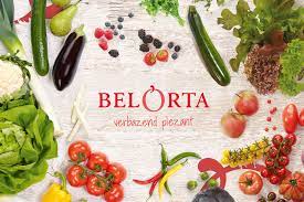 Over BelOrta | BelOrta