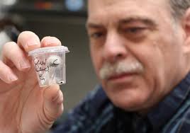 Patrick Dowd : USDA ARS