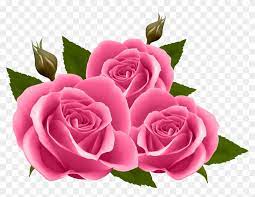 Happy New Month Flowers Hd Png Download 8000x5836 376370 Pngfind