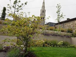 The 2020 ALCI Landscape Awards Winners announced