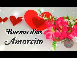 Buenos Dias Amor Te Deseo Un Lindo Dia Este Mensaje Es Para Ti Youtube Buenos Dias Amor Dia De Amor Y Amistad Burnos Dias Amor