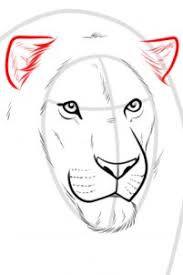 Lowe zeichnen schritt fur schritt dekoking lowe zeichnen zeichnen lowenzeichnung. Lowe Zeichnen Schritt Fur Schritt Tutorial Dekoking Diy
