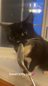 Riverwatch farm (@crystalwarrenrealtor)’s videos with Happy Days