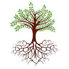 Tree With Deep Roots Clip Art Clipartfest Tree Drawing Roots Illustration Shrubs
