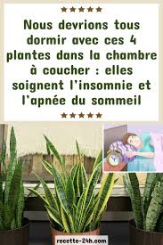 Pin On Jardinage