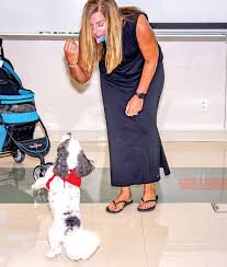 All requirements for this badge will be tracked online through the mycouncil system and you will be able to pull a report directly from there to submit to your scoutmaster when complete. State Tech Hosts Merit Badge University The Unterrified Democrat