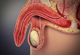 Thuốc trị rối loạn cương dương gồm những loại nào?