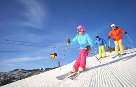 It depends on what your interests are. 10 Great Family Ski Resorts With Learn To Ski And Snowboard Programs