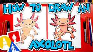 Drawing chibi supercute characters easy for beginners & kids (manga / anime): How To Draw An Axolotl Youtube