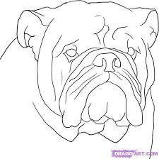 How To Draw A Bulldog Step By Step Pets Animals Free Online Drawing Tutorial Added By Dawn January 7 2008 4 Bulldog Drawing Bulldog Art Animal Drawings