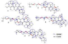 Image result for Xeroderris stuhlmannii