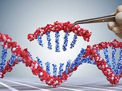 Bei der untersuchung tauchte dann der verdacht auf die indische mutation auf. Coronavirus Triple Mutation Variant In India Emerges As Fresh Worry In Covid Battle