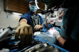The oncologist salary per month and per year vary depending on education and other specialties. Oral And Maxillofacial Surgery Wikipedia