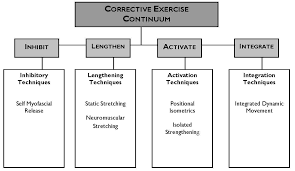 nasm overactive and underactive muscles chart best picture